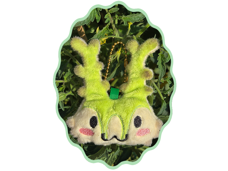 A spunky little guy
