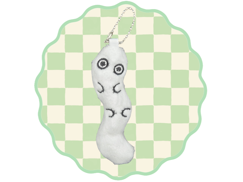 Brushbuddy